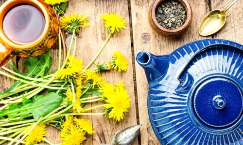 plante depurative jpg