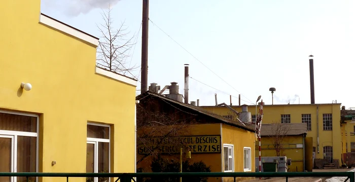 Fabrica de ulei se vinde pe 1.8 milioane euro Foto: Facebook