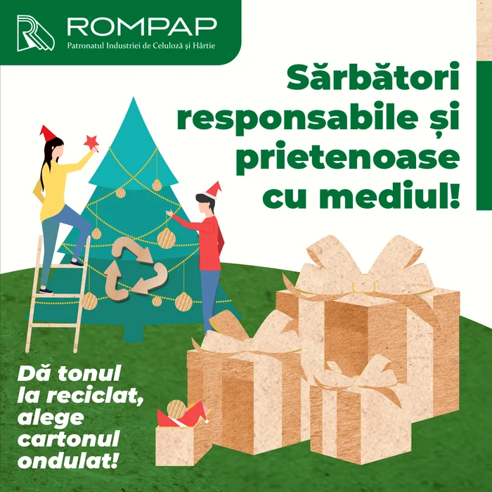 ROMPAP articol decembrie jpg