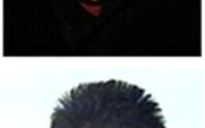 Adrian Vasilescu şi Ion Ciprian Bobocel