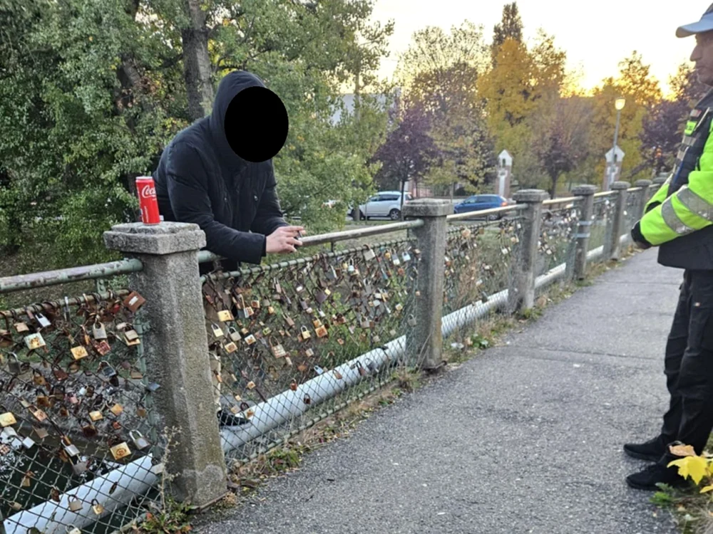 FOTO: Poliția Locală Timișoara