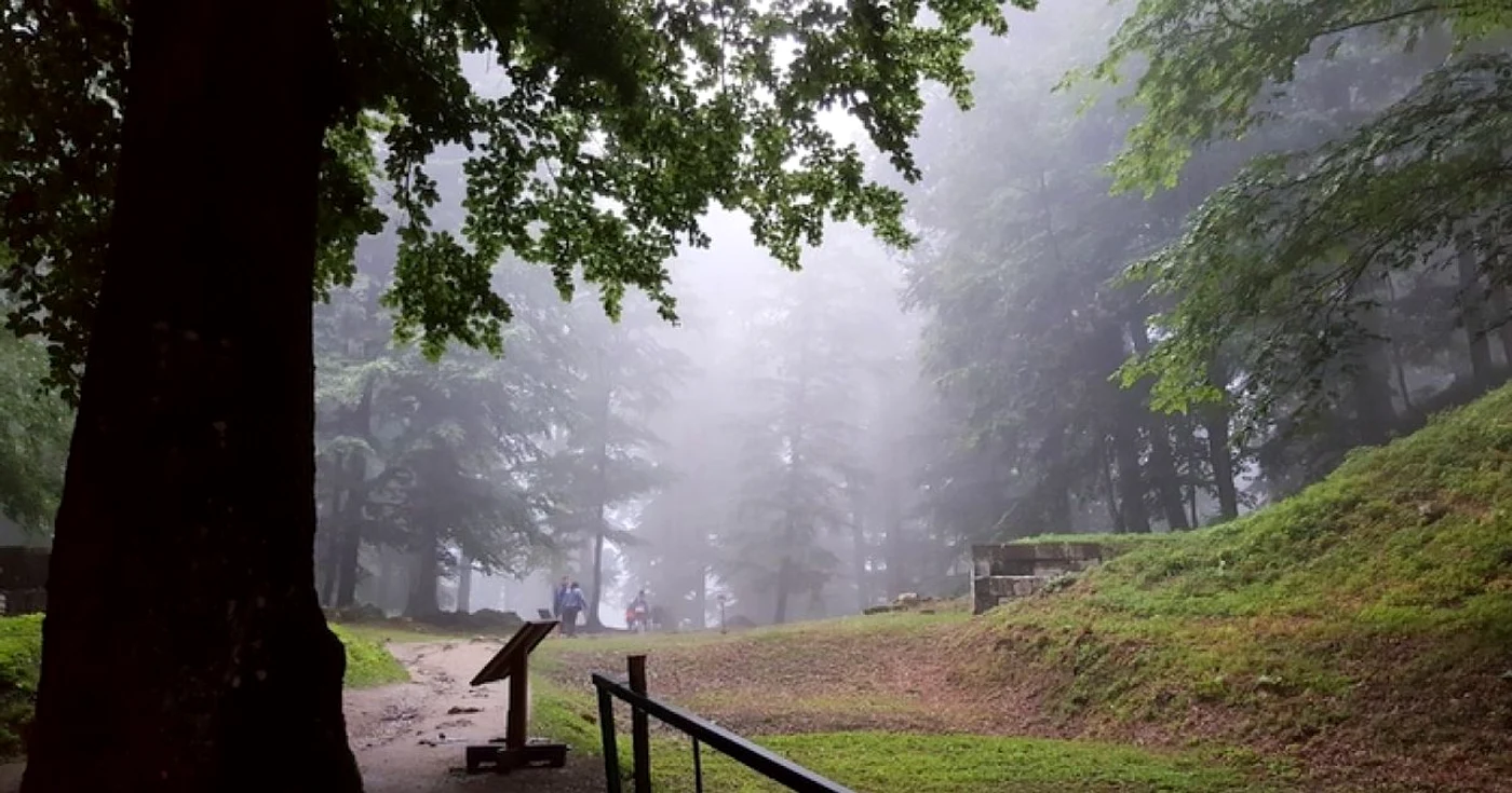 padure sarmizegetusa regia