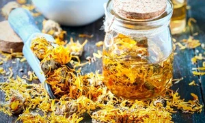 1 galbenele jpg jpeg