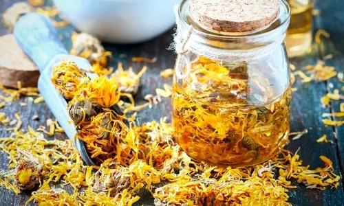 1 galbenele jpg jpeg