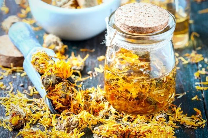 1 galbenele jpg jpeg