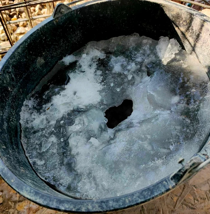 Apa a înghețat în găleți FOTO: Ajutați-l pe Lăbuș