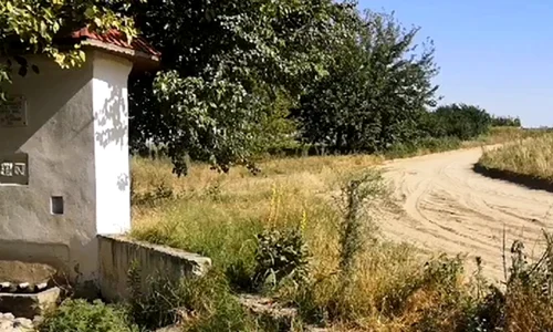seceta dolj1 jpg