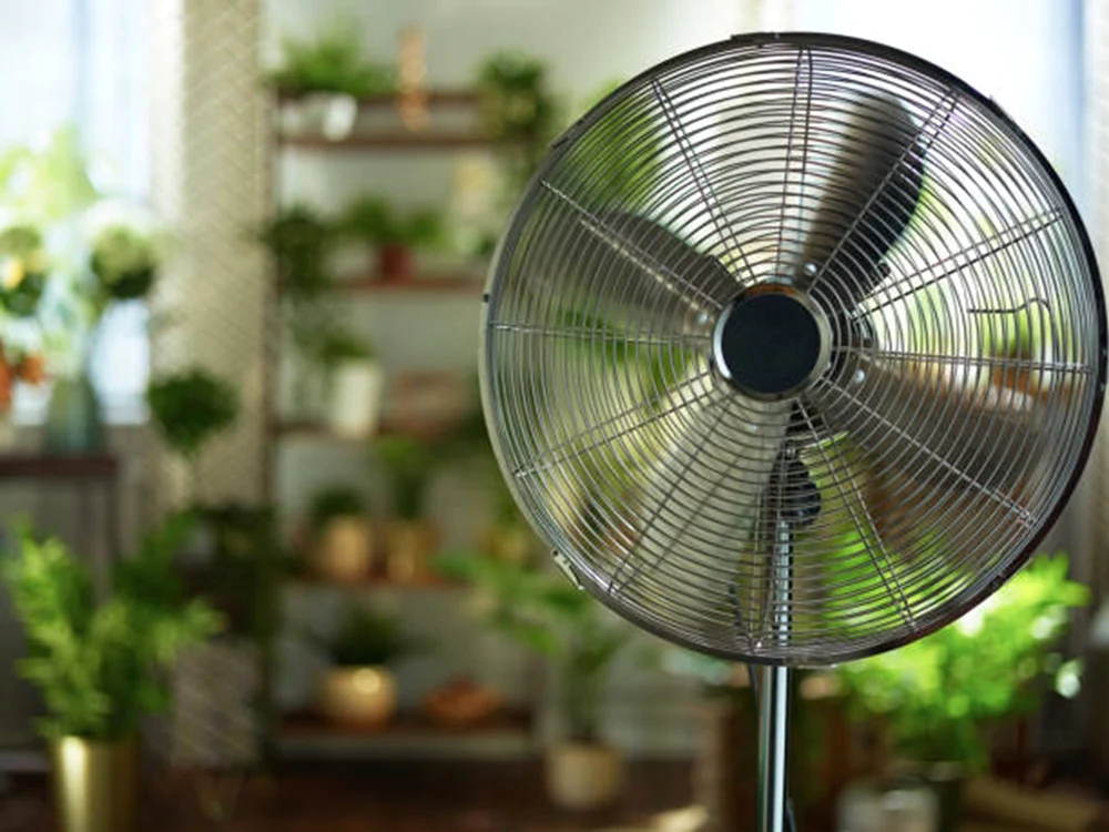 Un ventilator într-o locuință plină de plante Foto iStock
