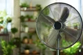 ventilator istock jpg