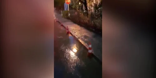 5bf6a984df52022f75b39524 jpg