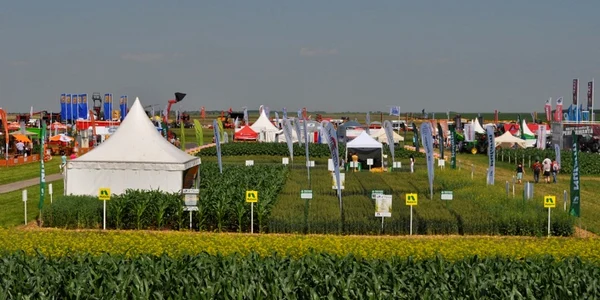 calarasi agriplanta