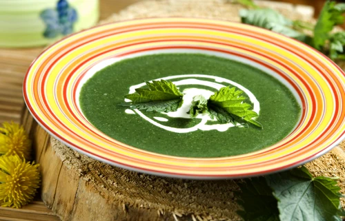 nettle soup jpeg