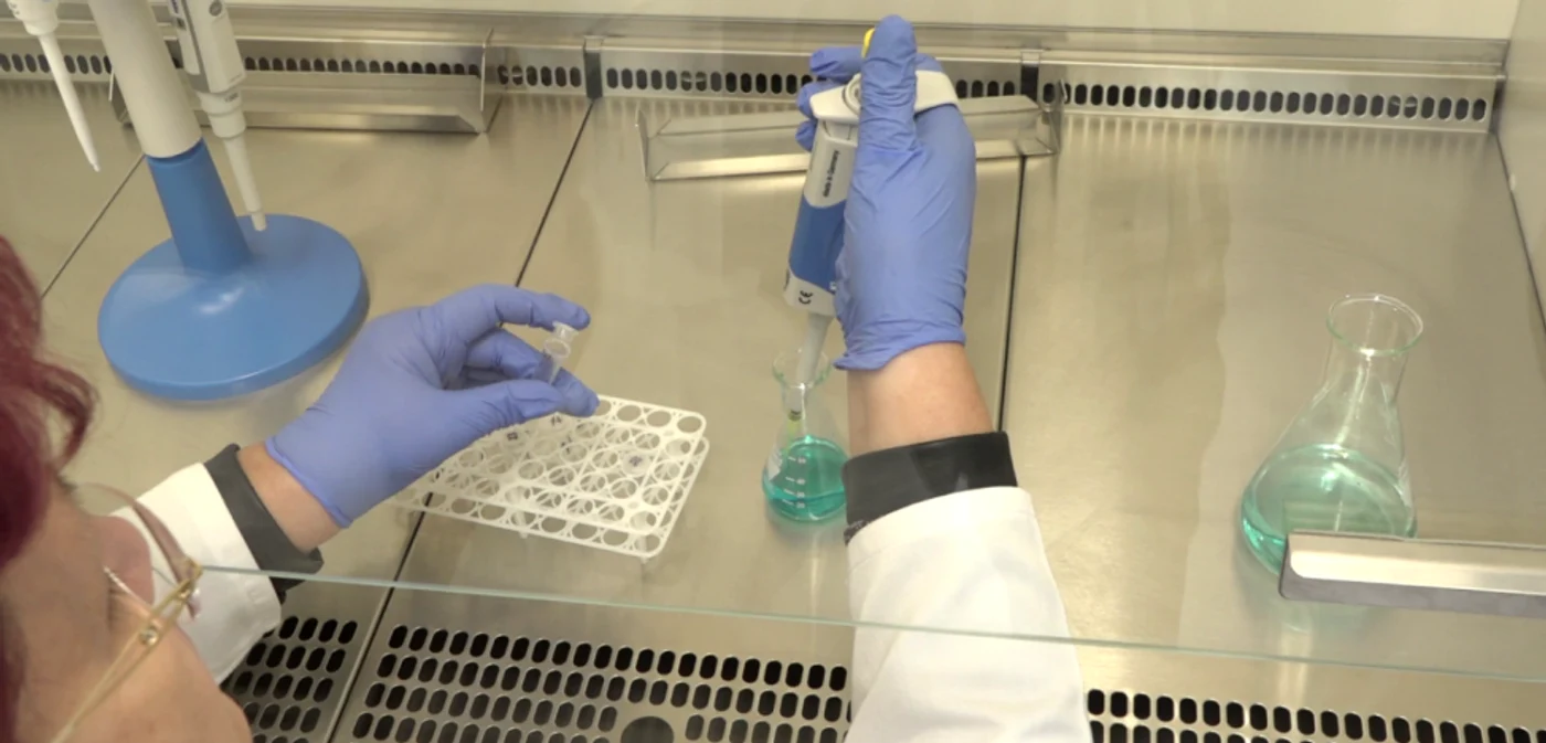 Patru probe biologice pentru SARS-CoV-2  recoltate de la angajaţi au fost trimise la secvenţiere