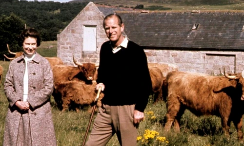 1 gradina zoo regala jpg jpeg