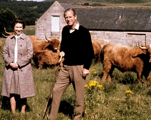 1 gradina zoo regala jpg jpeg