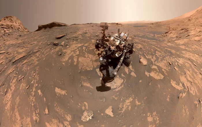 Roverul Curiosity a surprins imagini cu un obiect ce seamănă cu un coral / Sursa foto: Profimedia
