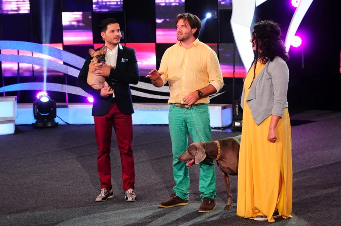 ham talent foto antena 1