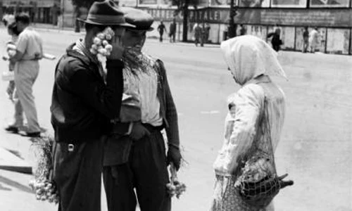 historia ro undefined jpeg