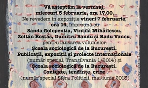 „În urma acului“ – cîteva note pe marginea expoziţiei de la MŢR jpeg