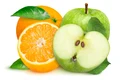 shutterstock 2464637199 jpg