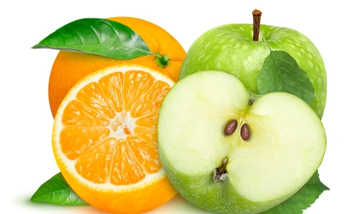 shutterstock 2464637199 jpg