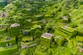 Houtouwan Foto Shutterstock