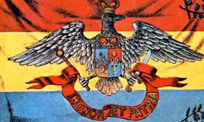 Luptători fără morminte jpeg