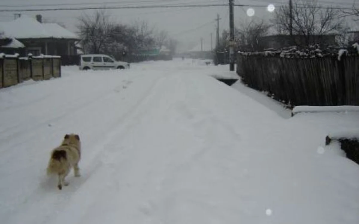 Foto: Adevărul