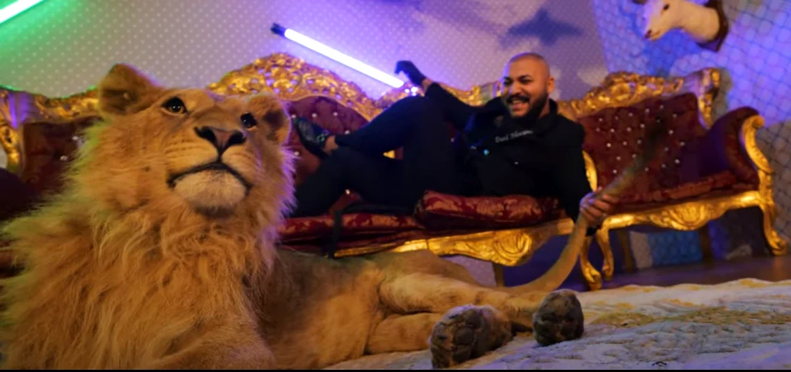 leu videoclip dani mocanu jpeg