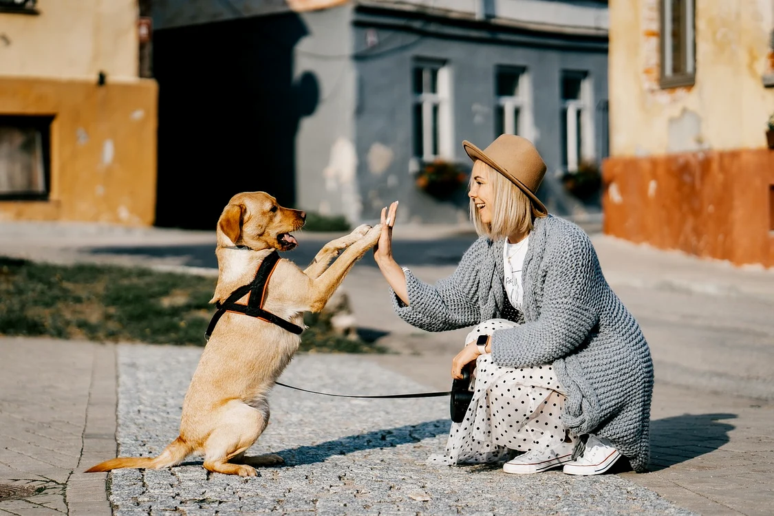 Animalul de companie pe care ar trebui să-l adopți, în funcție de zodia ta