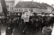 Falsificarea alegerilor din marţea neagră (19 noiembrie 1946) jpeg