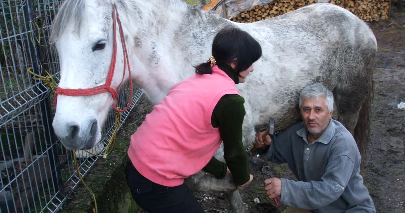 Meseria de potcovar este una dificilă 