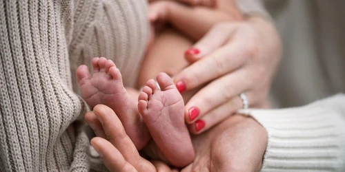 bill gates bunic instagram jpg