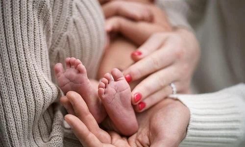 bill gates bunic instagram jpg