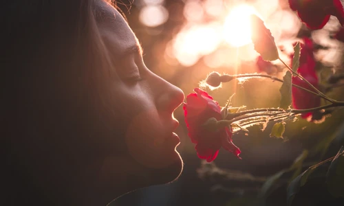 mirosul florilor  jpg