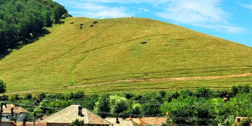 singidava cugir