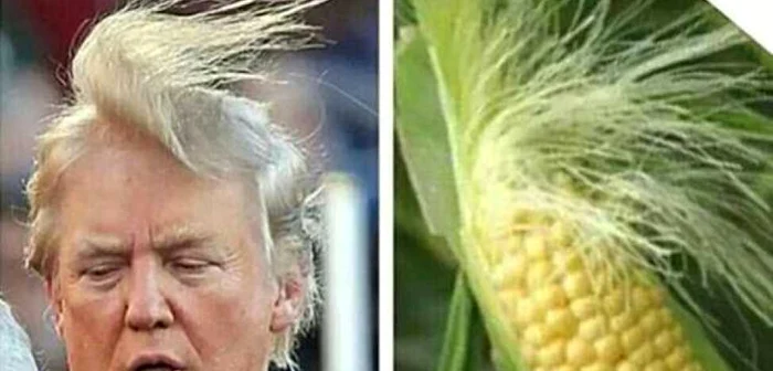 Donald Trump este comparat cu un porumb FOTO Buzzfeed.co