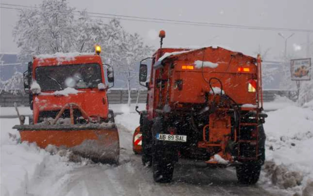 deszapezire slatina13