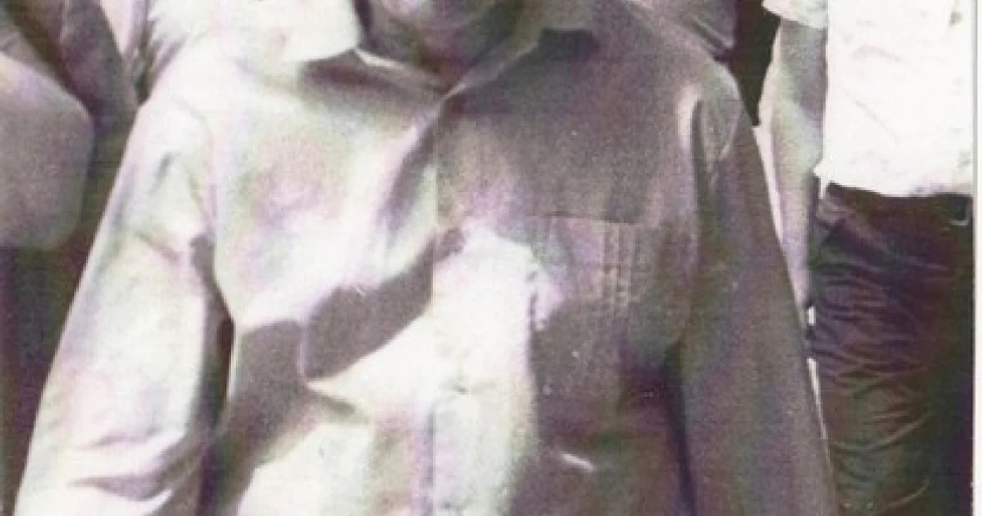 mircea ivanescu