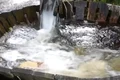 valtoare png