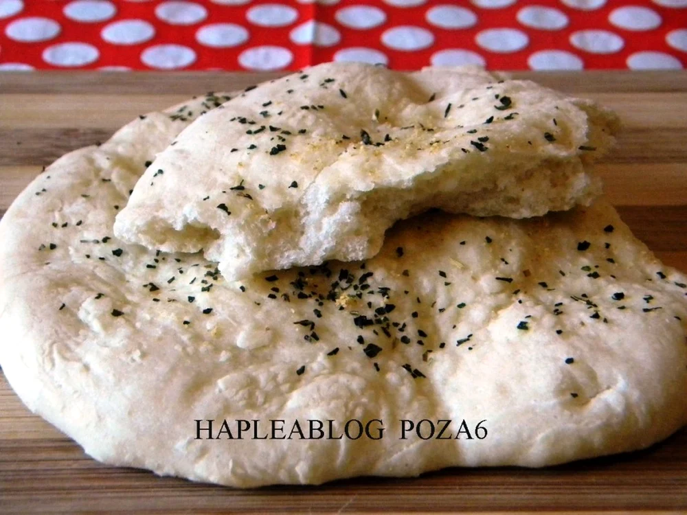 paine naan 6 1024x768 jpeg