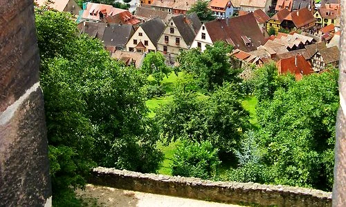 6d764629e087332b65f9e452669acdec jpeg