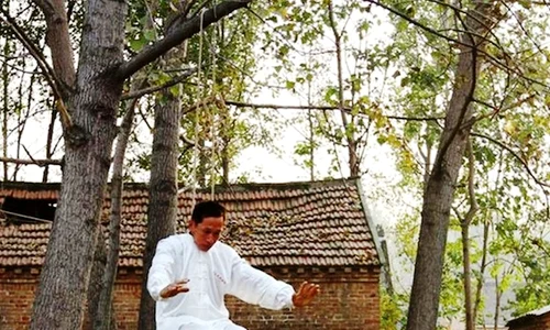 chinese martial artist li liangbin3 jpeg