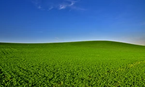 bliss windows pixabay jpg