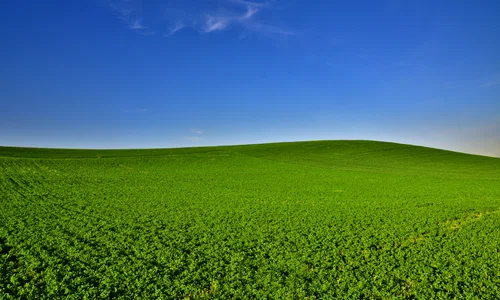 bliss windows pixabay jpg