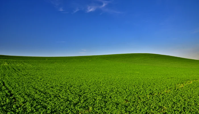 Cum arată azi priveliștea cea mai vizualizată din lume / foto: Pixabay