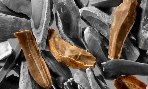 Cuţitele de piatră au apărut mult mai devreme decât se credea jpeg