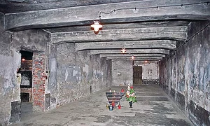 5 act 6 krema1gaschamber jpeg