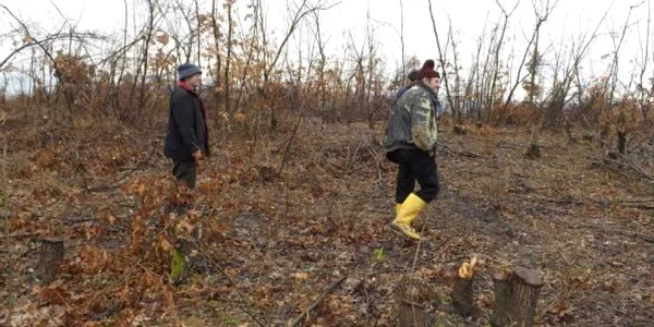 jaf în pădurea de la dumbrava FOTO Corina Macavei 