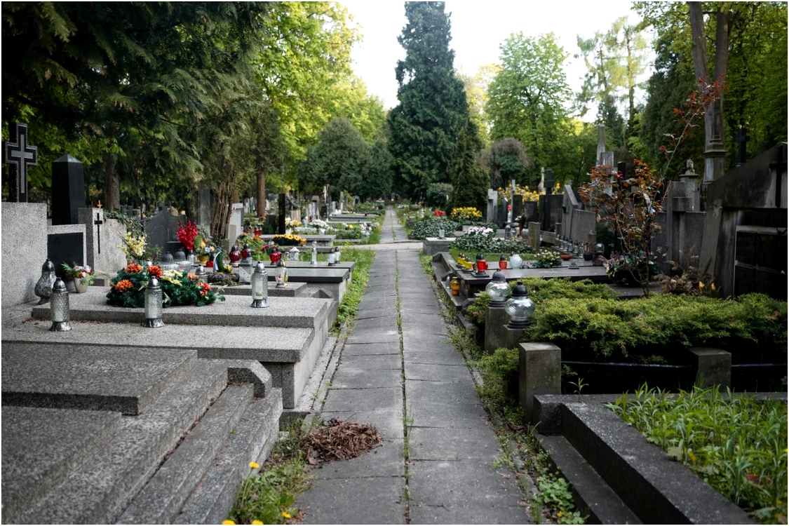 Copil mort în cimitir. Foto: magnific.com